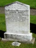 image of grave number 91656